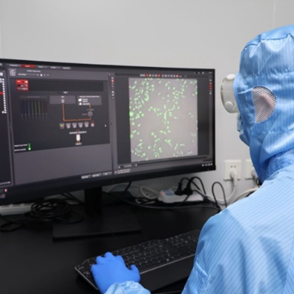 靶向肽递送系统