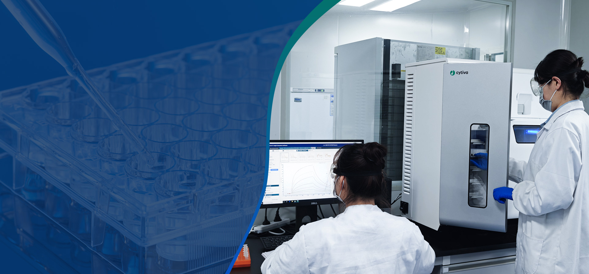 双擎赋能：基于3D肽库与MTDD平台的高通量筛选