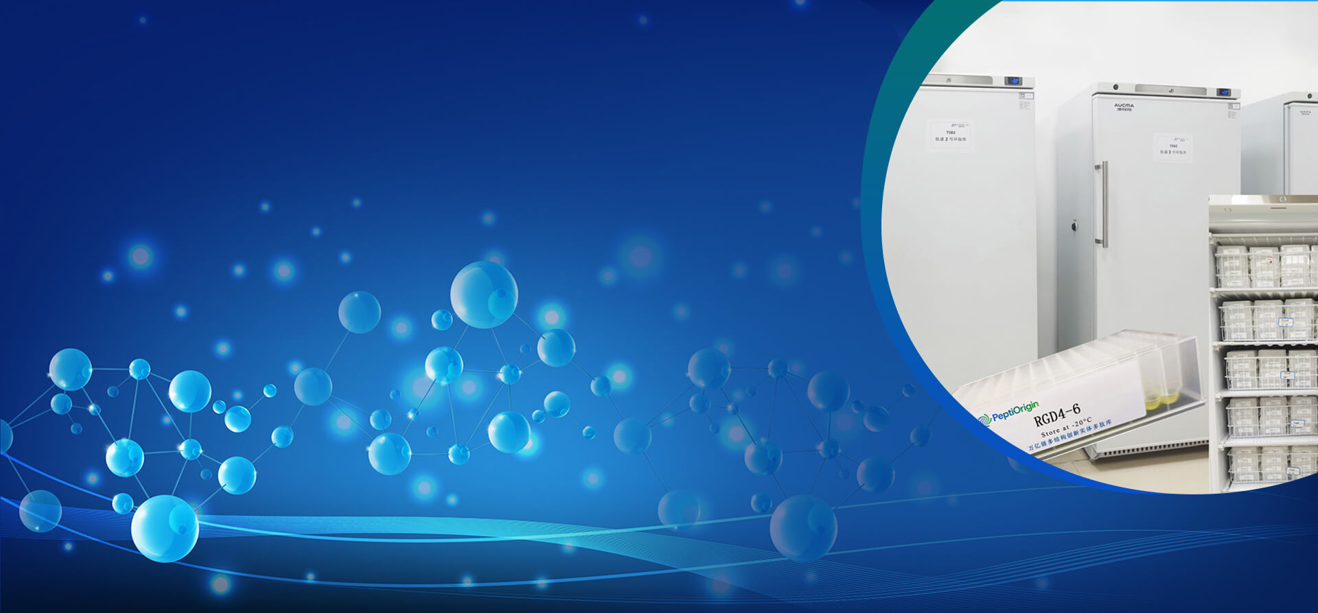 革命肽库，创领药物研发新突破
